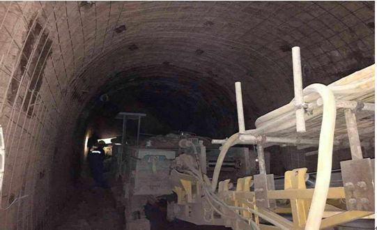 真功夫！物美價廉的“穿山甲”