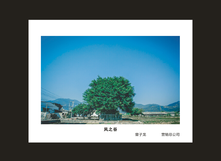 山河智能成立16周年司慶活動“魅力山河”攝影比賽優秀作品展