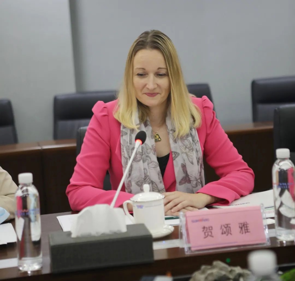 英國駐廣州總領事賀頌雅考察山河智能