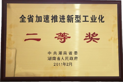 全省加速推進新型工業化二等獎