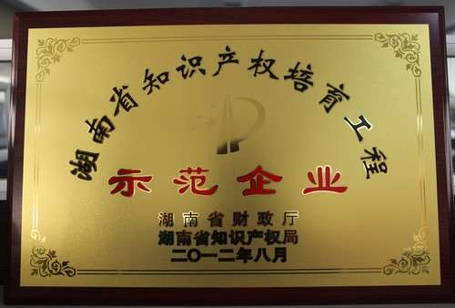 湖南省知識產權培育工程師范