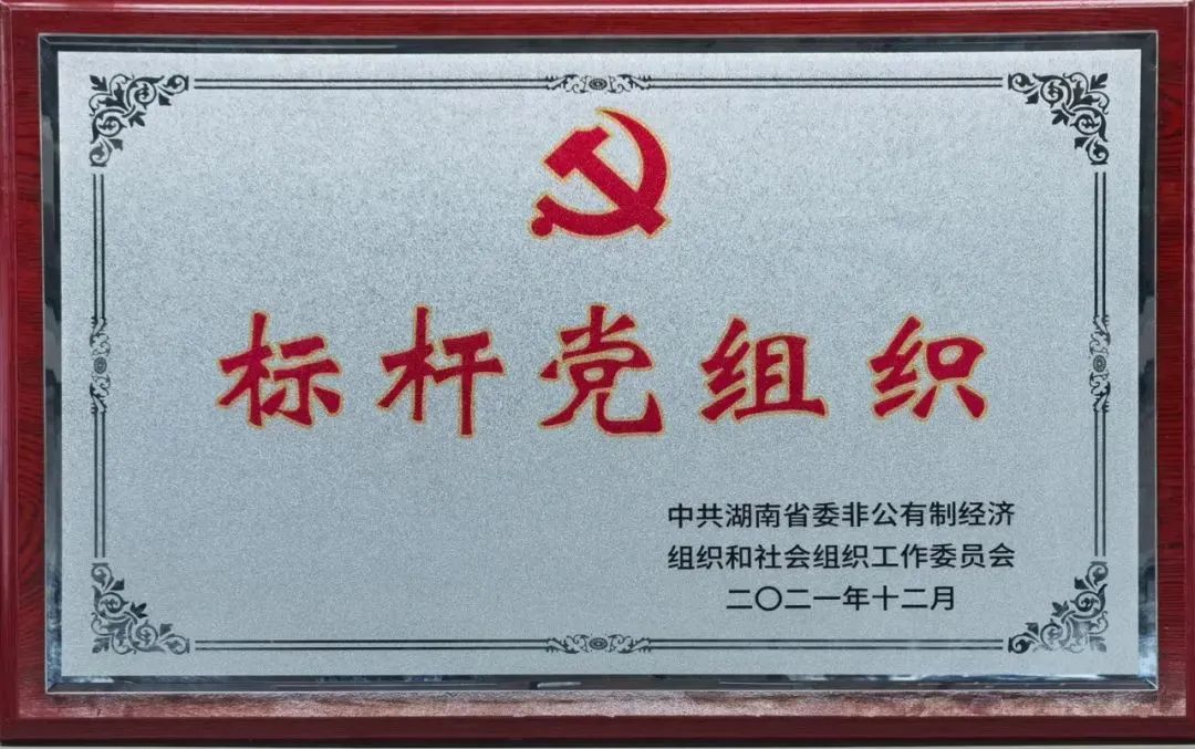 黨建品牌亮起來！山河智能黨委獲評“標桿黨組織”