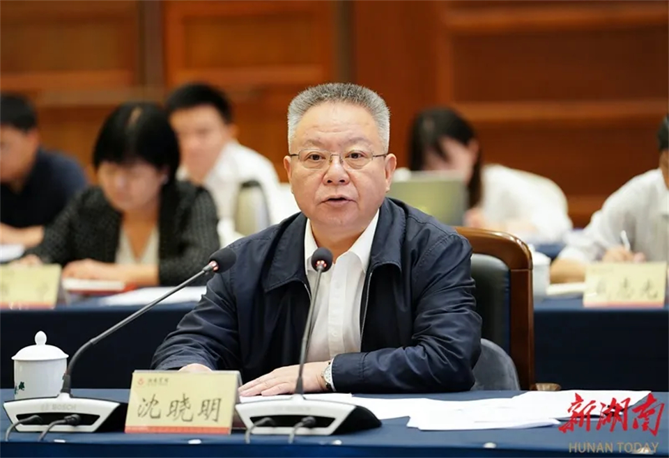 中非經貿深度合作先行區建設第一次會商會議在長沙召開