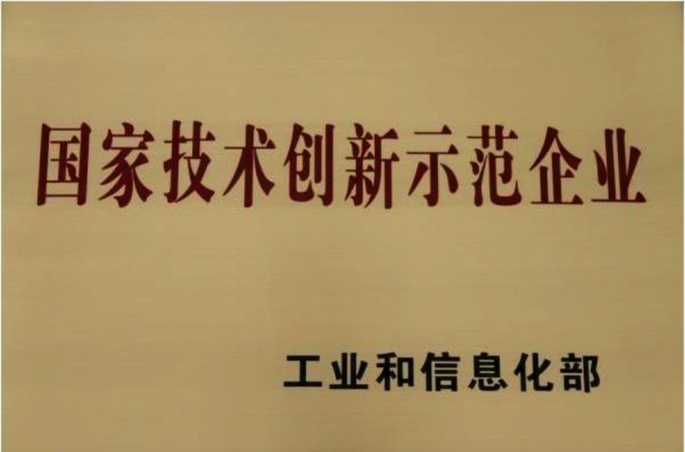國家技術創新示范企業